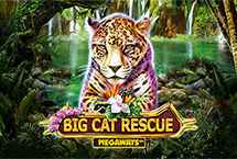 BIG CAT RESCUE MEGAWAYS